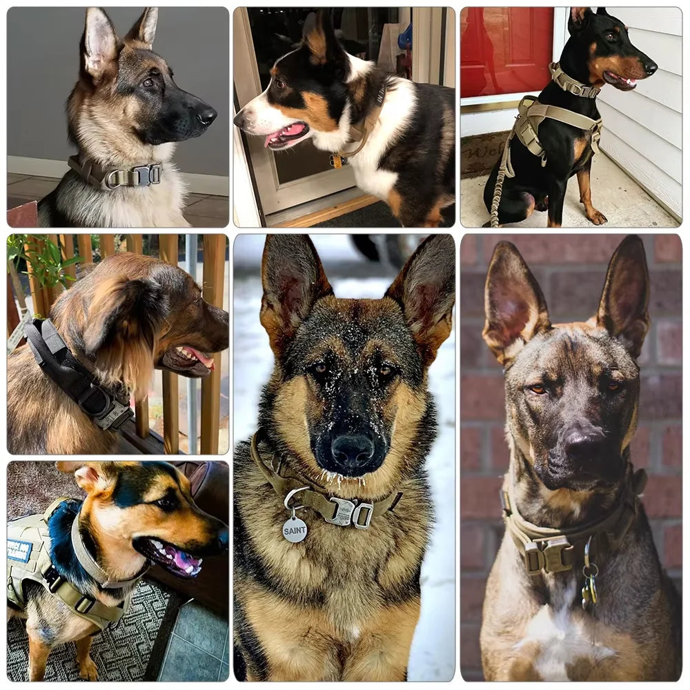 Adjustable Tactical Nylon Dog Training Collar And Leash Set With Quick Release Buckle