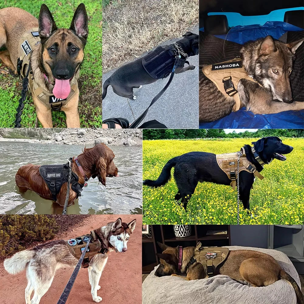 Tactical Dog Vest Harness Set With Collar And Leash For K9 Training